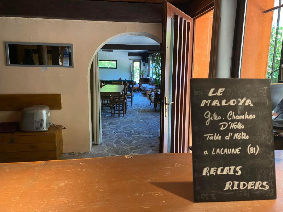 "Le Maloya" Chalets Independants -Chambre Balneo - Relais Motards Lacaune Exterior photo