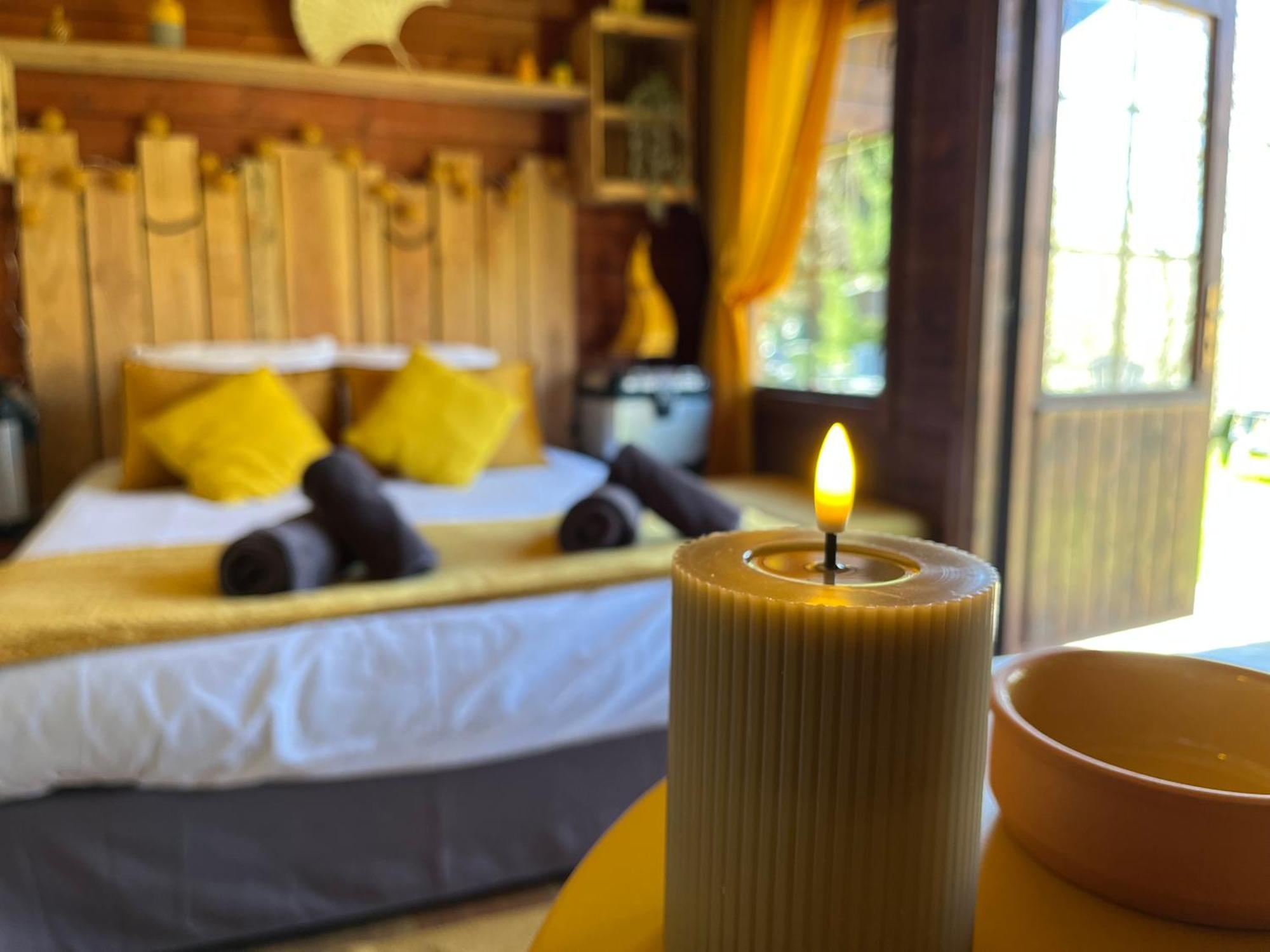 "Le Maloya" Chalets Independants -Chambre Balneo - Relais Motards Lacaune Exterior photo